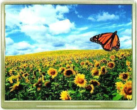 ET057003DM6320240真彩液晶屏