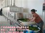 供应茶叶微波烘干杀青机