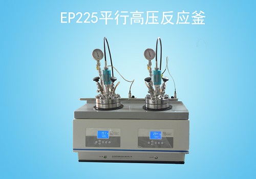 北京大量銷售EP225平行高壓反應(yīng)釜