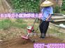 2014最新果园松土机 圣鲁专卖旋耕机 汽油大功率旋耕机
