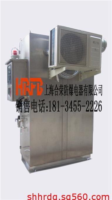 進口元件帶空調的防爆正壓柜