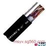 ZR-HYA 50X2X0.4生产厂