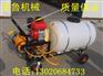 园林植保喷雾器 高压气雾杀毒喷药机 专业制造手推式喷雾器