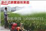 【供应农用高压喷雾器 背负式汽油打药机】价格,厂家,图片
