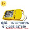 BFC8110-J400防爆泛光灯(高纯铝)寿命长