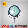 DGY100-24防爆泛光灯
