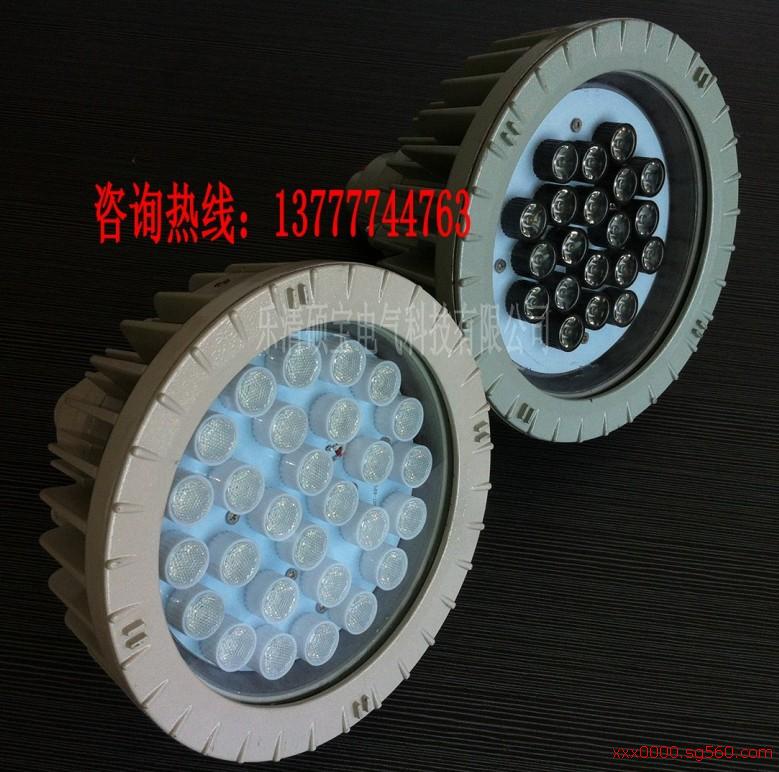 20WLED防爆灯/30WLED防爆灯&nbsp;&nbsp;LED防爆泛光灯&nbsp;&nbsp;防爆LED灯价格&nbsp;&nbsp;LED灯防爆