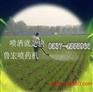 雾状打药机  新型喷雾器 大型打药机供应