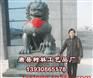 河北唐县树林铜雕厂家供应铸铜狮子