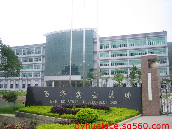 广东百华花边科技有限公司