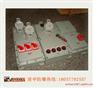 BXX51-2K/2P带漏电防爆动力检修箱IICT6/380