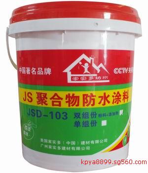JS聚合物防水涂料 防潮 补漏