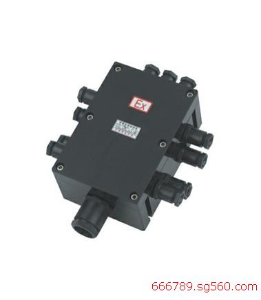 BJX8050防爆防腐接線箱(分線箱)柳市廠家